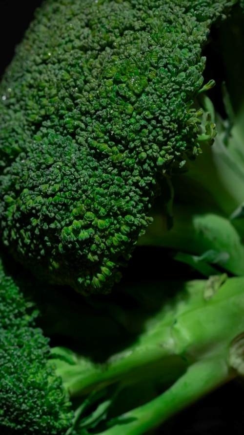 Fresh Egyptian broccoli