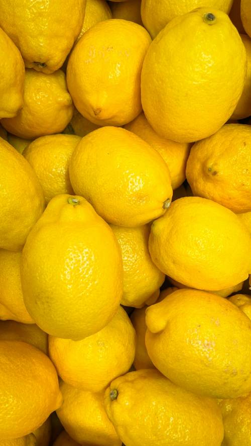 Egyptian lemons export